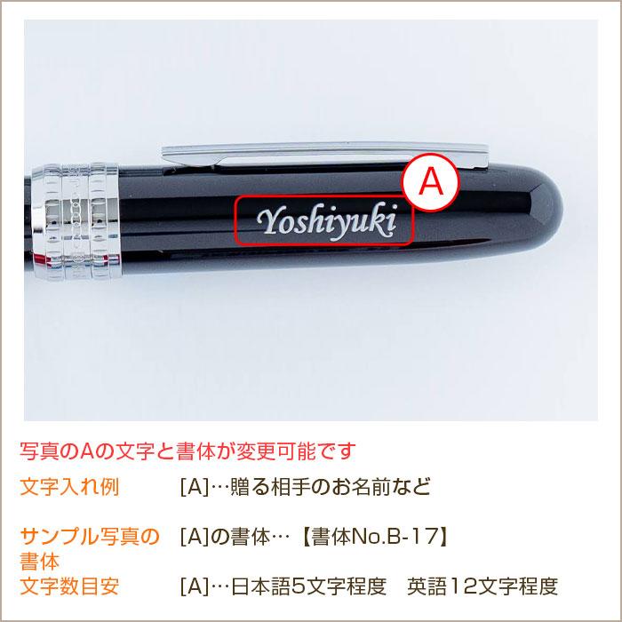 名入れ　万年筆　ペン　高級筆記具　プレゼント　ギフト　名入れ万年筆 プラチナ プレジール 全４色 UL　昇進祝い　退職祝い　誕生日 | プラチナ万年筆 | 16