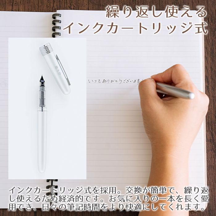 名入れ　万年筆　ペン　高級筆記具　プレゼント　ギフト　名入れ万年筆 プラチナ プレジール 全４色 UL　昇進祝い　退職祝い　誕生日 | プラチナ万年筆 | 09