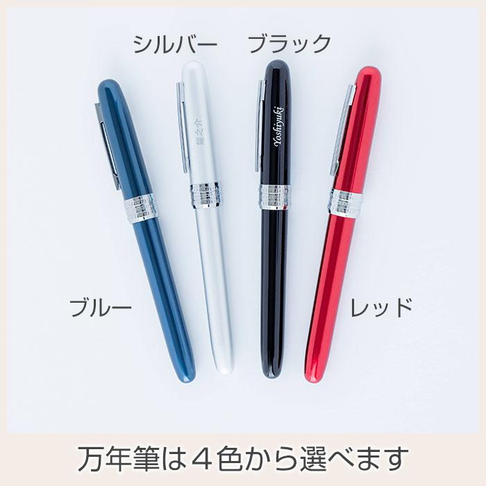 名入れ　万年筆　ペン　高級筆記具　プレゼント　ギフト　名入れ万年筆 プラチナ プレジール 全４色 UL　昇進祝い　退職祝い　誕生日 | プラチナ万年筆 | 13