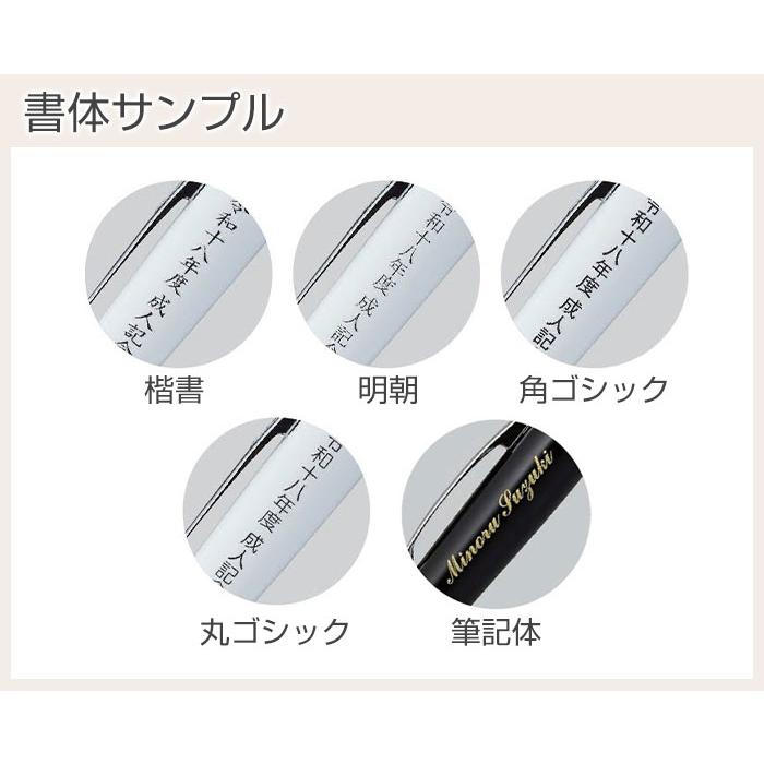 ペン　印鑑　名入れ　ボールペン　パーカー　プレゼント　ギフト　誕生日　入学祝い　印鑑付き 名入れボールペン ネームペン パーカー プラウディ シャチハタ | 名入れギフトKARIN | 18