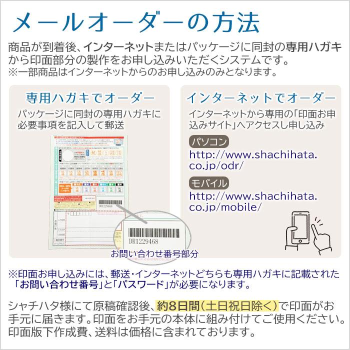 ボールペン　印鑑　名入れ　シャープペン　プレゼント　ギフト　昇進祝い　誕生日　記念品　名入れ ネームペン シャチハタ ログノ ネーム印セット UL | 名入れギフトKARIN | 11