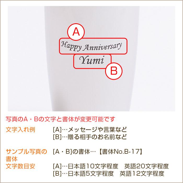 タンブラー　ビアタンブラー　名入れ　プレゼント　ギフト　磨き屋シンジケート 名入れ ビアタンブラー 2重構造 370ml MADE IN TSUBAME laser　誕生日 | 名入れギフトKARIN | 12