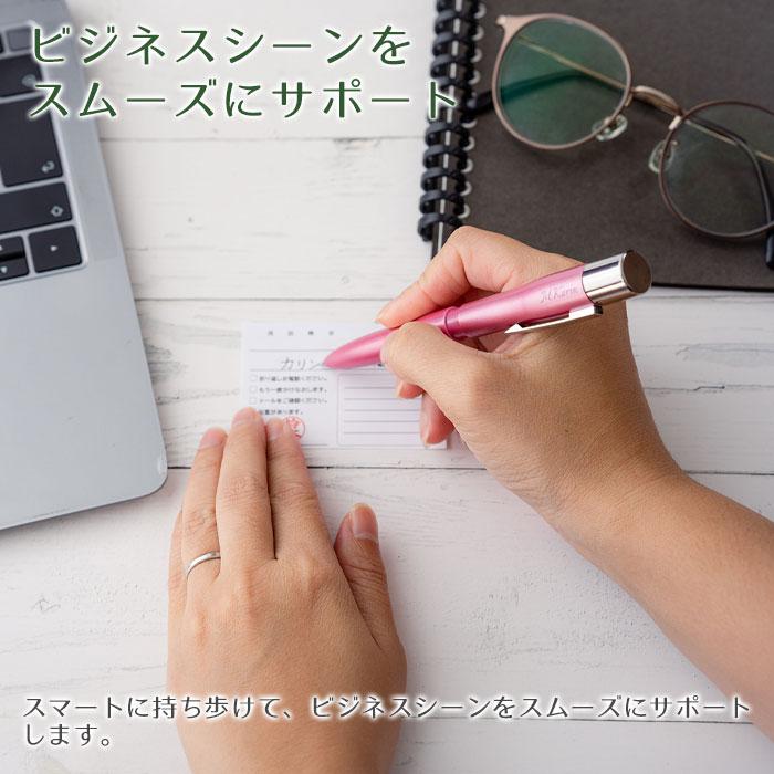 ペン　印鑑　名入れ　ボールペン　プレゼント　ギフト　就職祝い　卒業記念品　記念品　印鑑付き 名入れボールペン シャチハタ ネームペン トリノ UV | 名入れギフトKARIN | 08
