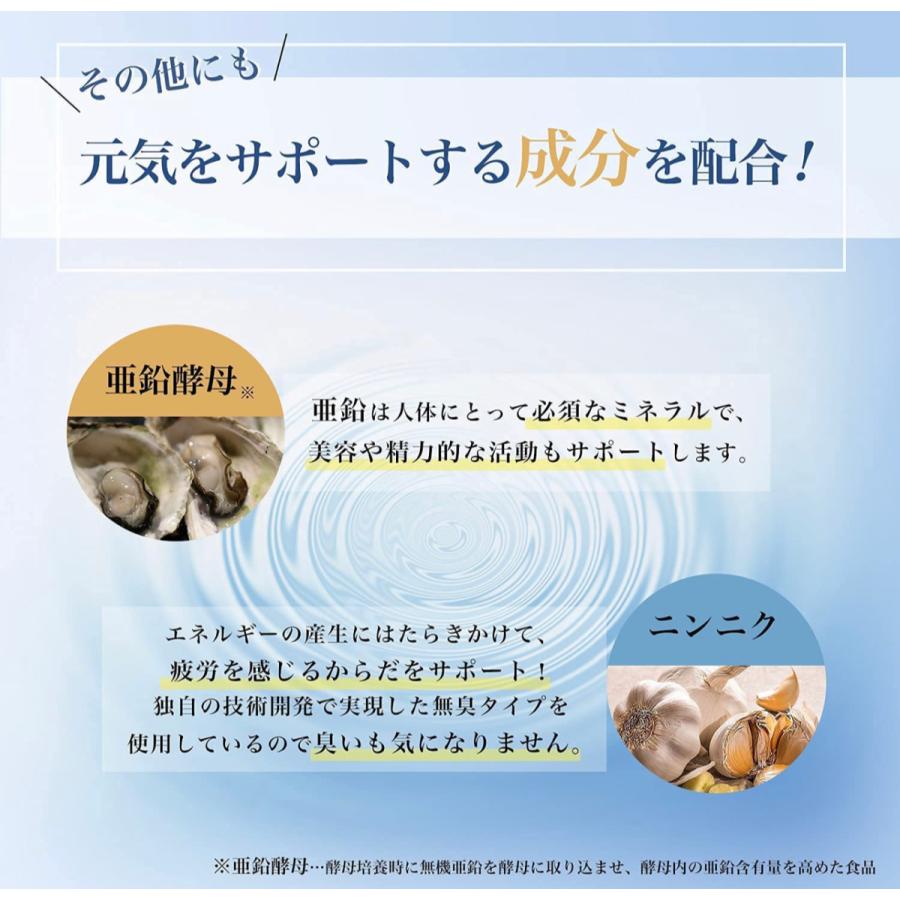 タウリン 伝統牡蠣エキス（ミネラル豊富）　約6か月（6袋）360粒　濃縮広島産牡蠣｜karin-shop｜03