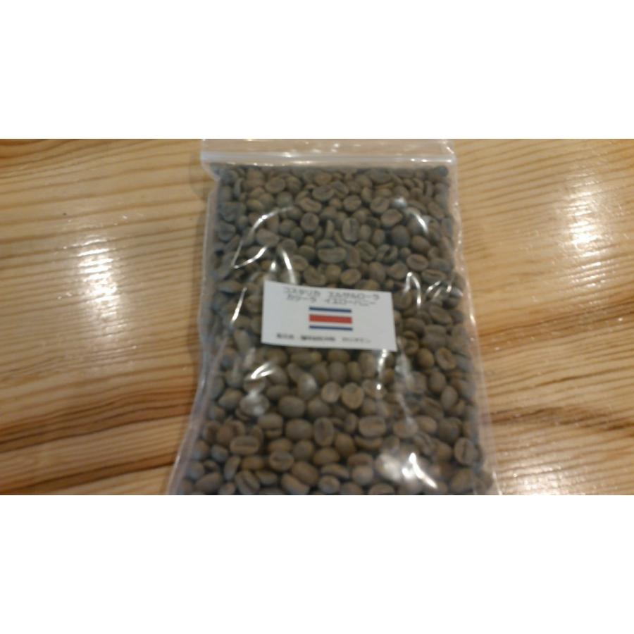 コーヒー豆 生豆 コスタリカ エルサル ローラ カツーラ イエローハニー