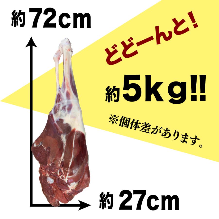 北海道産】エゾシカ肉/鹿肉/シカ肉/ジビエ/送料無料 骨付き足（5kg前後