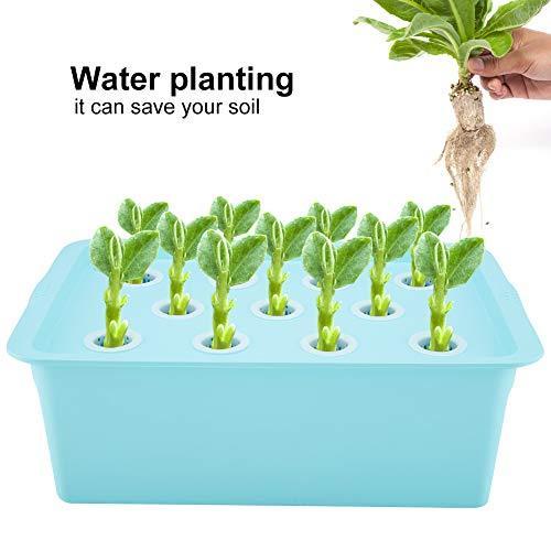 NITRIP 水耕栽培キット 10L 11穴水耕栽培システム 屋内栽培 水耕培養(110V-青) 