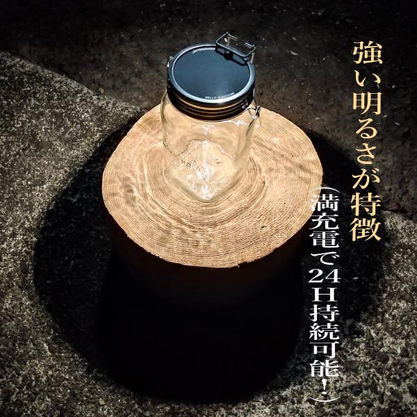 即納最大半額 ソネングラス Amp 花材セット Sonnenglas 1 000ml ソーラー ランタン ドライフラワー カーネーション Ledランプ 防災グッズ アウトドア Heartlandgolfpark Com