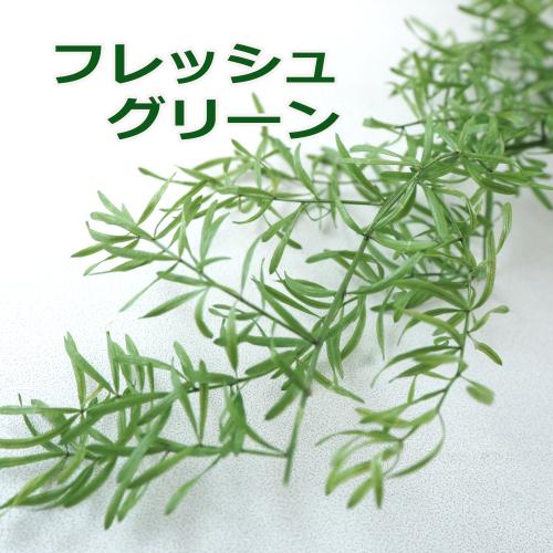 アスパラスプリンゲリー 小分け プリザーブド 完全送料無料 ドライリーフ ハーバリウム 花材 ハンドメイド クラフト ディスプレイ 国産