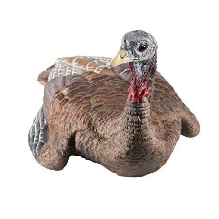 Avian-X Laydown Hen Turkey Decoy 在庫品特価 ゴルフ - davidobrink.com