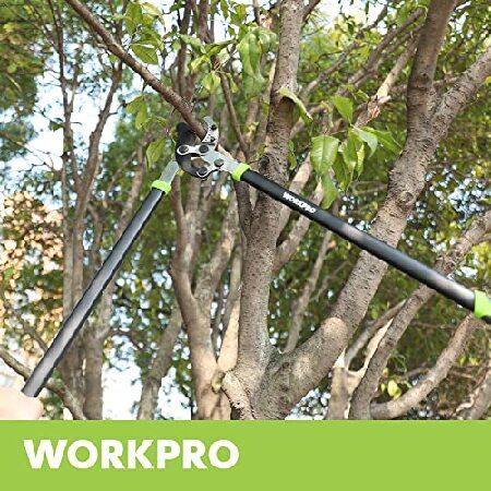 売れ筋がひ！ WORKPRO Anvil Lopper， 32 Inch Branch Cutter with Compound Action， Heavy Duty Garden Tree Trimmer with 2” Cutting Capacity， Chops Thick Branches with