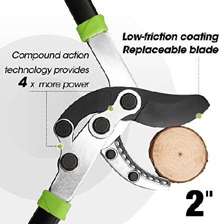 売れ筋がひ！ WORKPRO Anvil Lopper， 32 Inch Branch Cutter with Compound Action， Heavy Duty Garden Tree Trimmer with 2” Cutting Capacity， Chops Thick Branches with