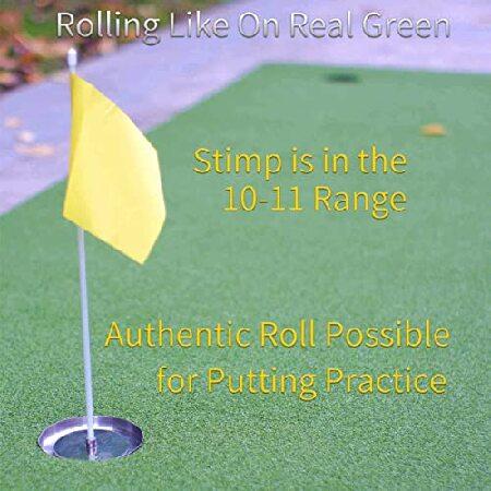 STORZON Putting Green Outdoor for Golf Practice Putting Matt for Indoors 3X10