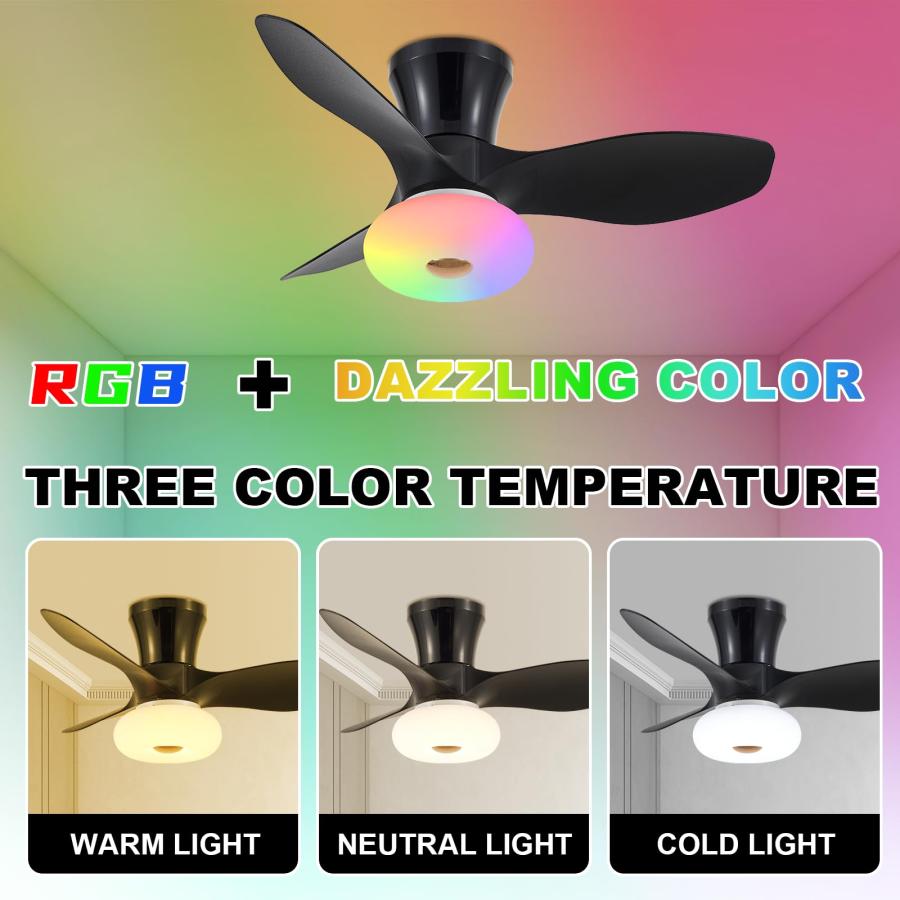 いラインアップ Rough sailor 24 inch ceiling fans with light with remote/app control， smart ceiling fans dimmable colour LED-RGB， Black recessed mount ceiling fan for