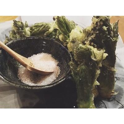 タラの芽 300g 北海道山菜 とかち産 天然 朝採り : カルシの森ヤフー