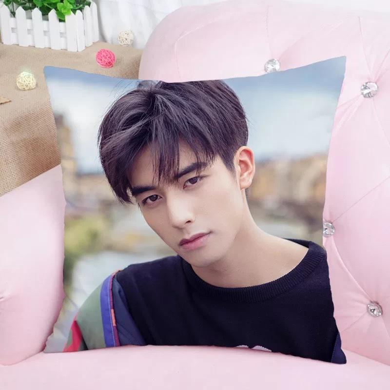 中国俳優ソンウェイロン(宋威龍）のプリントクッション！ : 華流グッズ