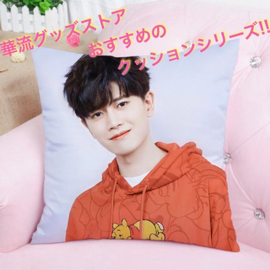 ベニワレン　クッション　45㎝　未使用品　完売品　一点物 中国俳優アレンレン（任嘉倫)のプリントクッション！ : 華流グッズ