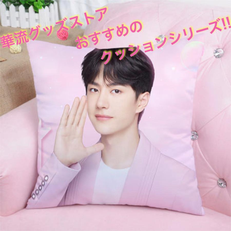 中国俳優ワンイーボー(王一博)のプリントクッション！ : 華流グッズ