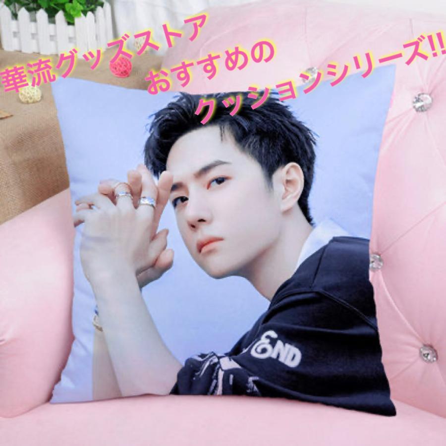seventeen 中華 一直娱 yizhiyu ポラロイド 13枚セット seventeen 中華 一直娱 yizhiyu ポラロイド 13枚セット 2025年
