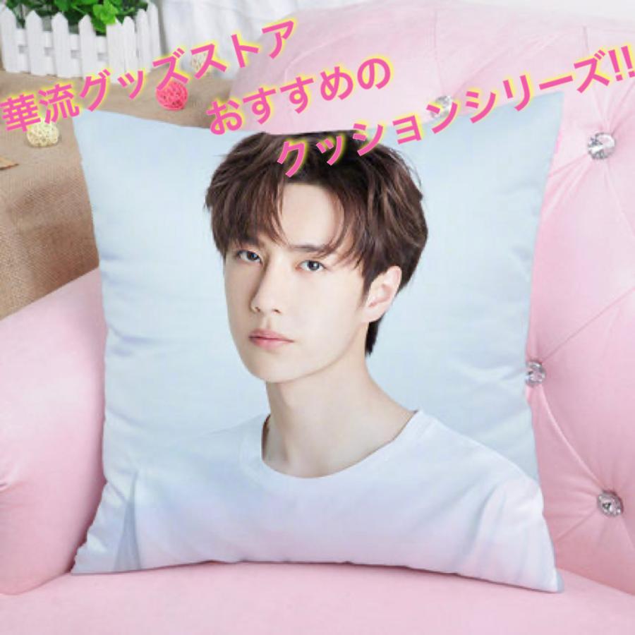 ワンイーボー　王一博 探検2 TCHINA 代言　クッションカバー10点セット 中国俳優ワンイーボー(王一博)のプリントクッション！ : 華流グッズ
