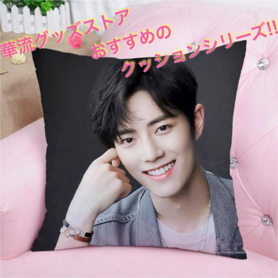 中国俳優シャオジャン(肖戦)のプリントクッション！ : cushion