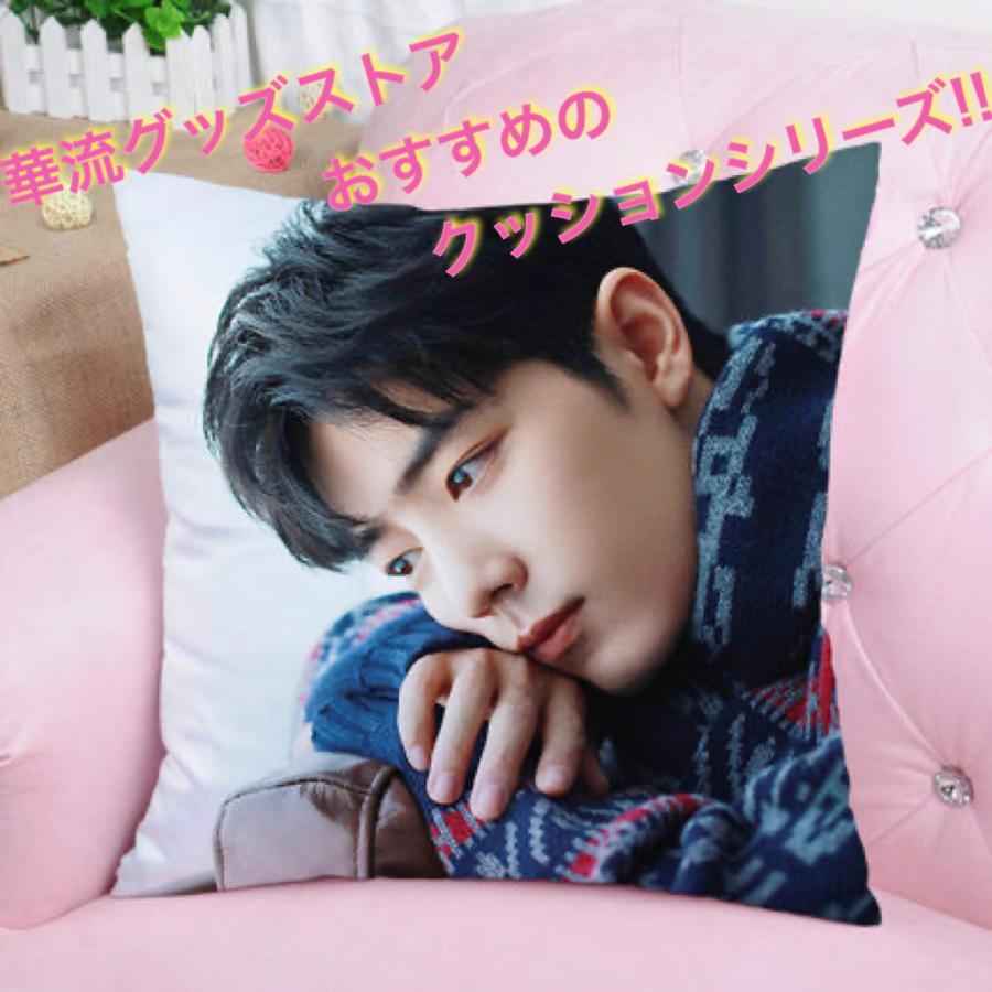 中国俳優シャオジャン(肖戦)のプリントクッション！ : 華流グッズ