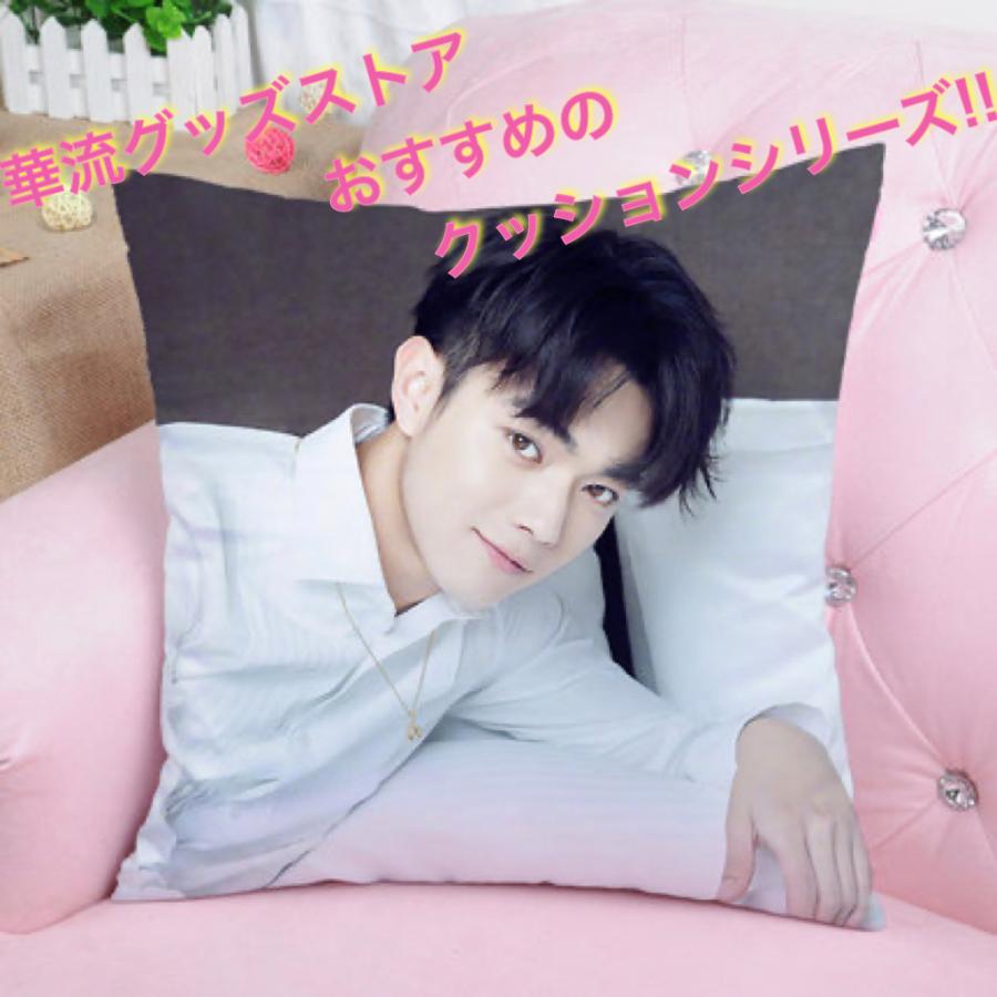 中国俳優シューカイ(許凱)のプリントクッション！ : 華流グッズストア