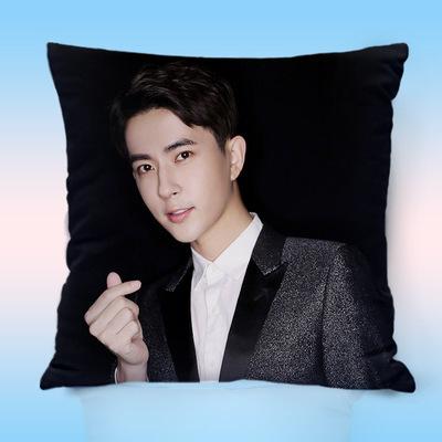 中国俳優アランユー(于朦朧)のプリントクッション！ : 華流グッズ  