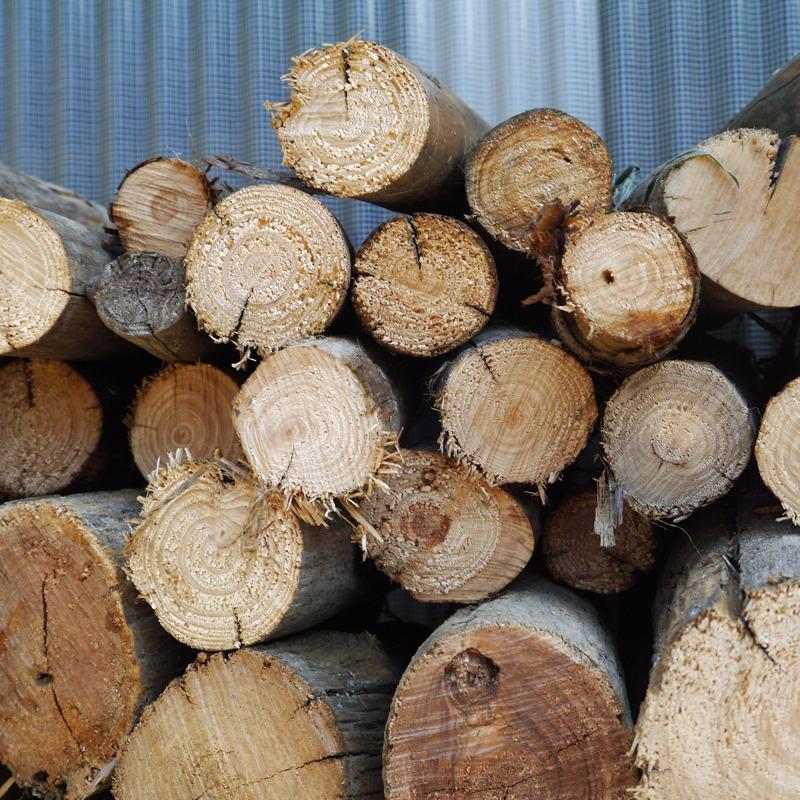 ヒノキ　丸太　天然乾燥材 ヒノキ 丸太 天然乾燥材