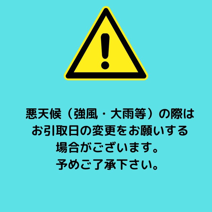 中古 1坪シャッター倉庫 整備済み 鍵付き SR43268 : 仮設トイレ 