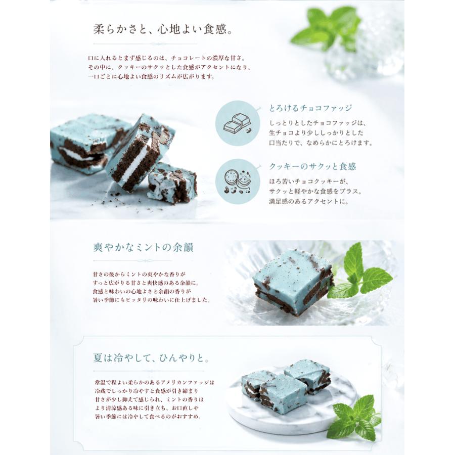 菓子工房華もも 送料無料 チョコミントファッジ400g チョコレート 菓子