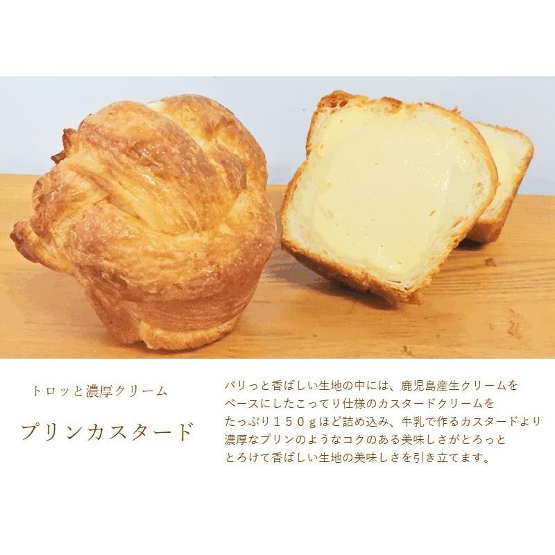285円 期間限定60%OFF! ポスト投函 井藤漢方製薬 食べて 285円 期間限定60%OFF! ポスト投函 井藤漢方製薬 食べて