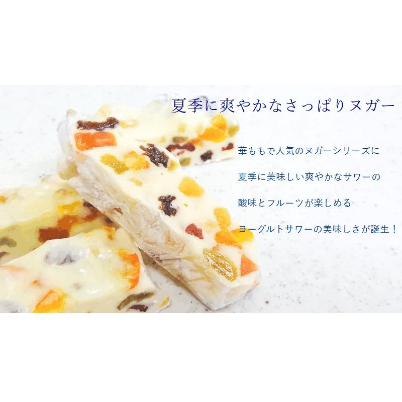 菓子工房華もも ネコポス ヌガーヨーグルトフルーツ不揃いカットサイズ