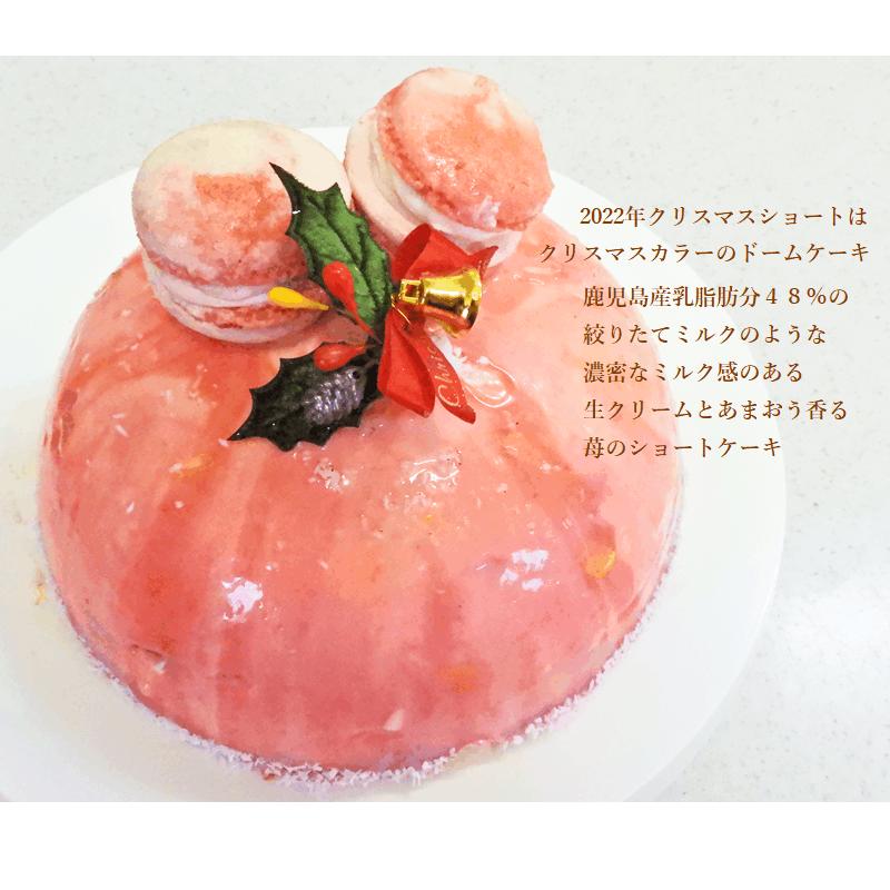 送料無料 クリスマスドームショートケーキ６号18cmサイズ クリスマスケーキ 予約 22 プレゼント お歳暮 クリスマス 冷凍 Hmsndm18 菓子工房 華もも 通販 Yahoo ショッピング
