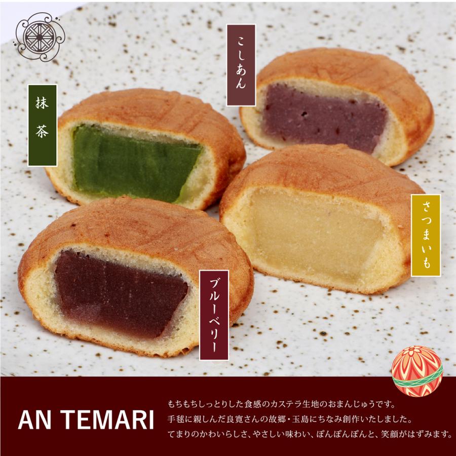 詰め合わせ 11個入り 良寛てまり あんてまり 和菓子 お取り寄せ スイーツ ギフト 岡山 倉敷 お供え物 贈り物 帰省 お土産 個包装 お菓子 手土産 Tumeawase 11 菓子処ひらい 通販 Yahoo ショッピング