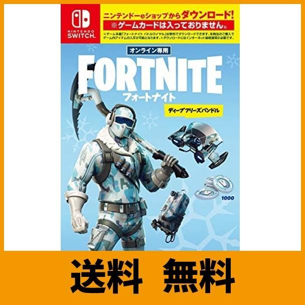 休日限定 フォートナイト Switch ディープフリーズバンドル ソフトウェア