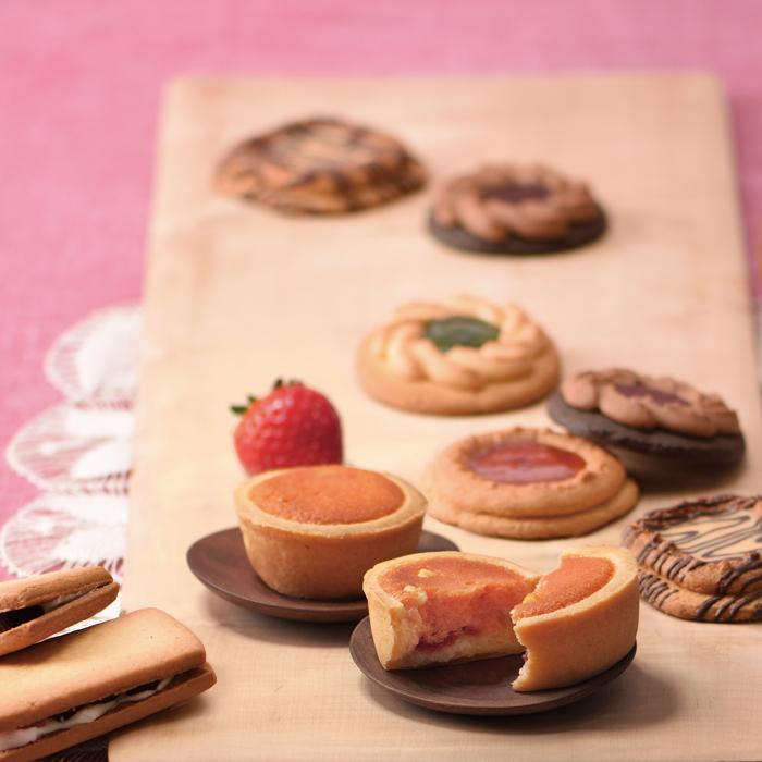 ファミリーケーキ 12個 入 【 中山製菓 FP-12 】 / 焼き菓子 ギフト