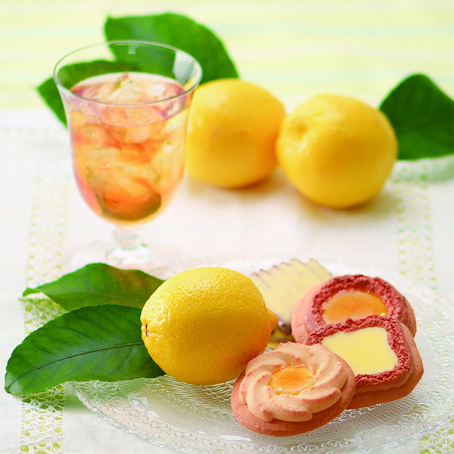 期間 限定 レモン の ロシア ケーキ 12個入 【 中山製菓 LMN-12