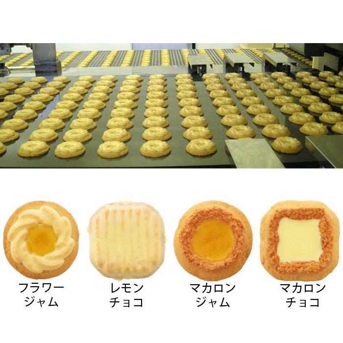 期間 限定 レモン の ロシア ケーキ 6個入 【 中山製菓 LMN-6