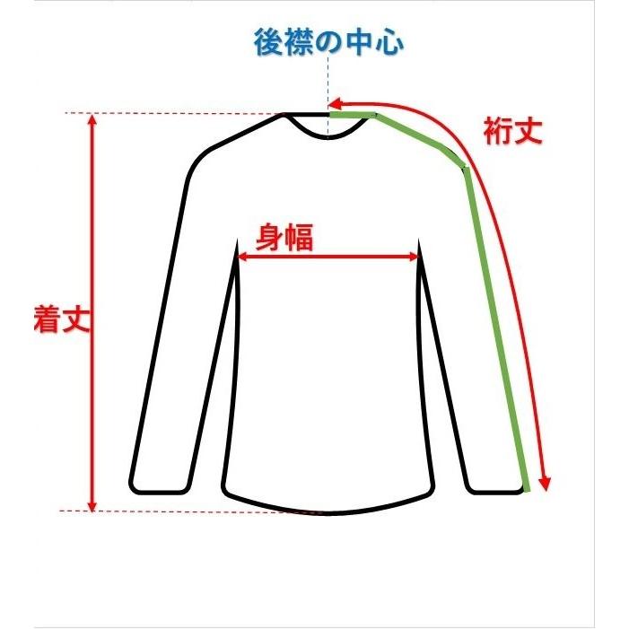 Phenix メンズ スキージャケット L/52 ES6720T31 フェニックス R2410-257 Phenix メンズ スキージャケット L/52 ES6720T31 フェニックス