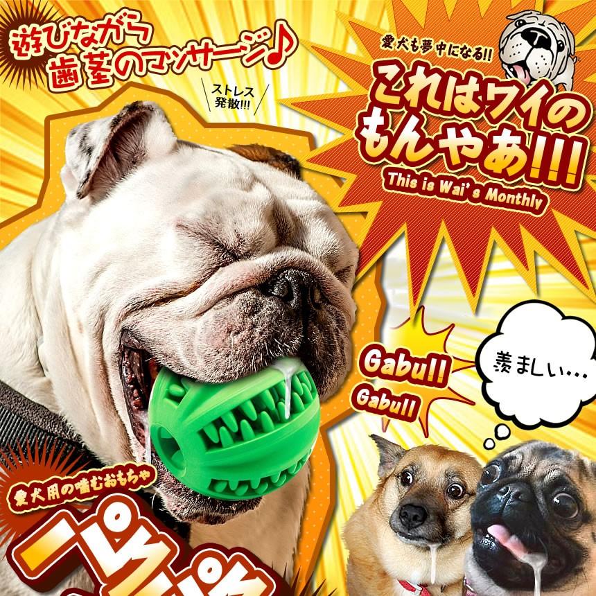 パクパクボール 犬用 おもちゃ 噛む フード入れ おやつボール 歯磨き 噛む 餌 知育 トイ Pakuball Kf1215 5a 絆ネットワーク 通販 Yahoo ショッピング