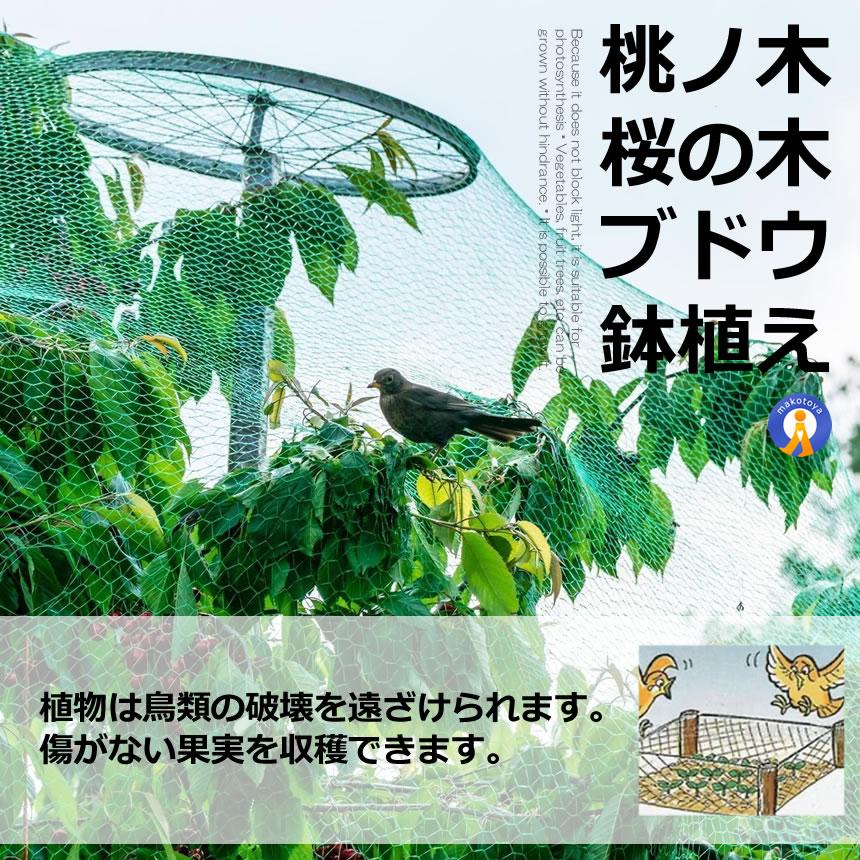 予約    防鳥ネット 防鳥網 4×10m ベランダ 鳥よけ ネット 取り付け カラス避け 鳩避け 野良猫侵入防止 YOKENET｜kasimaw｜06