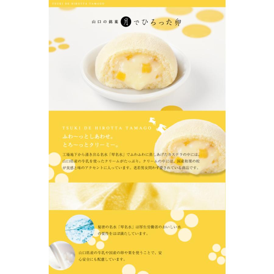 【 おためしセット 12種19個入り 】 ギフト 子供 お菓子 プチギフト 月でひろった卵|kasinoki|03