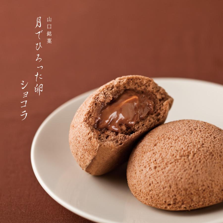 果子乃季 月でひろった卵 ショコラ 1個 お土産 和菓子 山口 つきたま