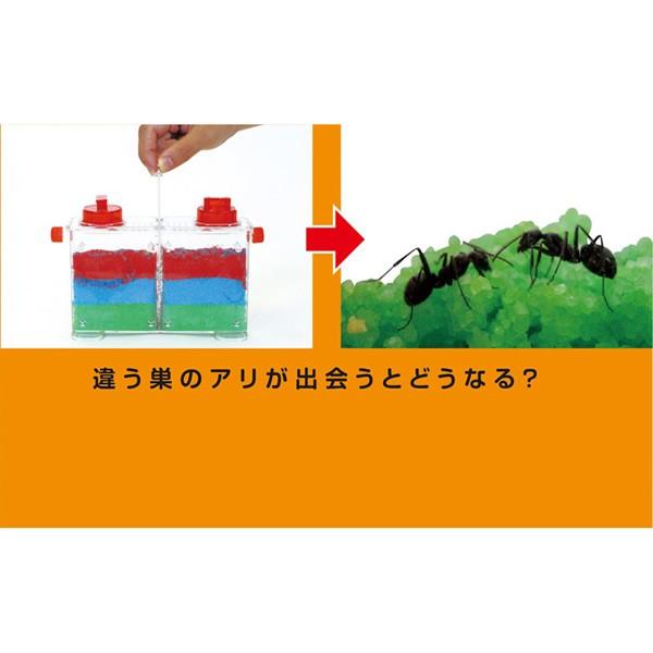 日時指定 アリの巣 観察 キット 自由研究 小学生 アリさんまるごと観察セット 夏休み 工作 自由工作 理科 実験 知育 教材 実験器具 Cisama Sc Gov Br