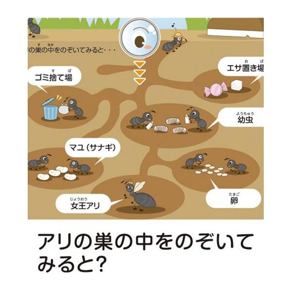 アリの巣 観察 キット 自由研究 小学生 アリさんまるごと観察セット 自由研究 夏休み 工作 自由工作 理科 実験 観察 知育 教材 実験器具 コスチュームで仮装大賞 通販 Yahoo ショッピング