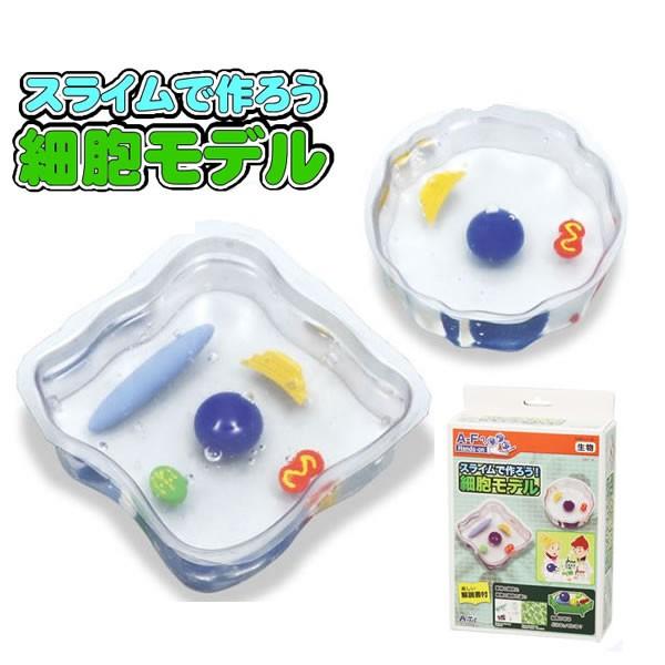 今季も再入荷 自由研究 キット 小学生 スライムで作ろう 細胞モデル 夏休み 工作 自由工作 理科 実験 観察 知育 教材 実験器具 子供 Babylonrooftop Com Au