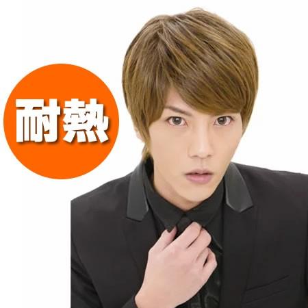 コンビニ受取対応商品 ウィッグ ショート メンズ マイルドショート ビターシナモンブレンド フルウィッグ ミディアム 耐熱 男性 時間指定不可 Turningheadskennel Com