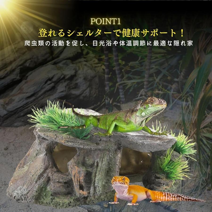 爬虫類 シェルター レオパ カナヘビ トカゲ 亀 浮島 陸地 人工植物 葉