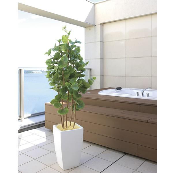 観葉植物 おしゃれ 大型 アーバンシーグレープ 1 8m インテリア フェイク 造花 鉢 おしゃれ オフィス ロビー 代金引換不可 942a600 17 コスチュームで仮装大賞 通販 Yahoo ショッピング